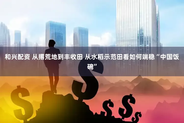 和兴配资 从撂荒地到丰收田 从水稻示范田看如何端稳“中国饭碗”
