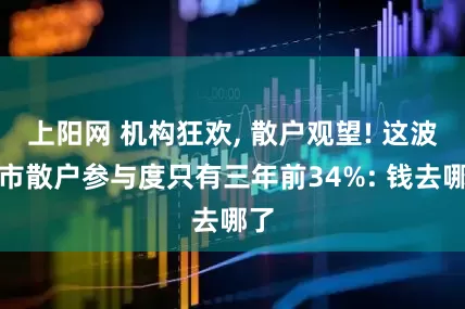 上阳网 机构狂欢, 散户观望! 这波牛市散户参与度只有三年前34%: 钱去哪了